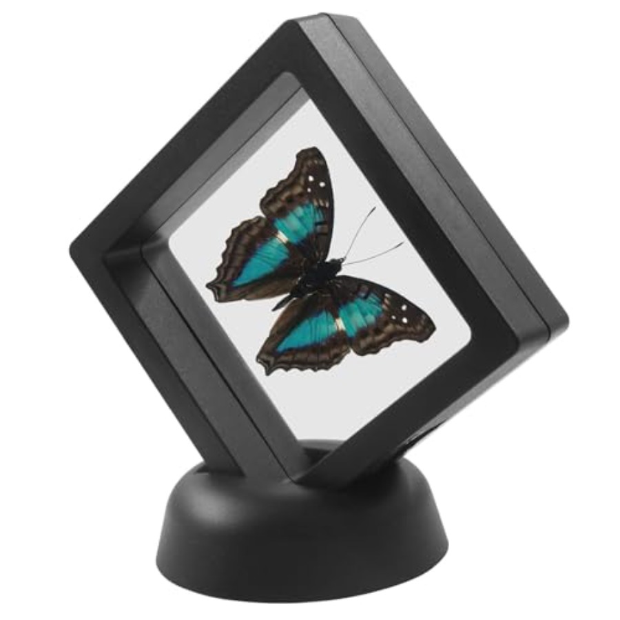 Collectors Coins Jewelry & Watches Of Smithtown Reviews - 12Pcs 3D Floating Display Case, 2.7x2.7